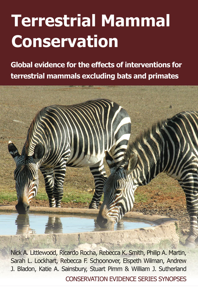 Terrestrial mammal conservation :global evidence for the effects of interventions for terrestrial mammals excluding bats and primates