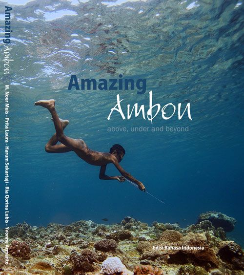 Amazing ambon above, under and beyond