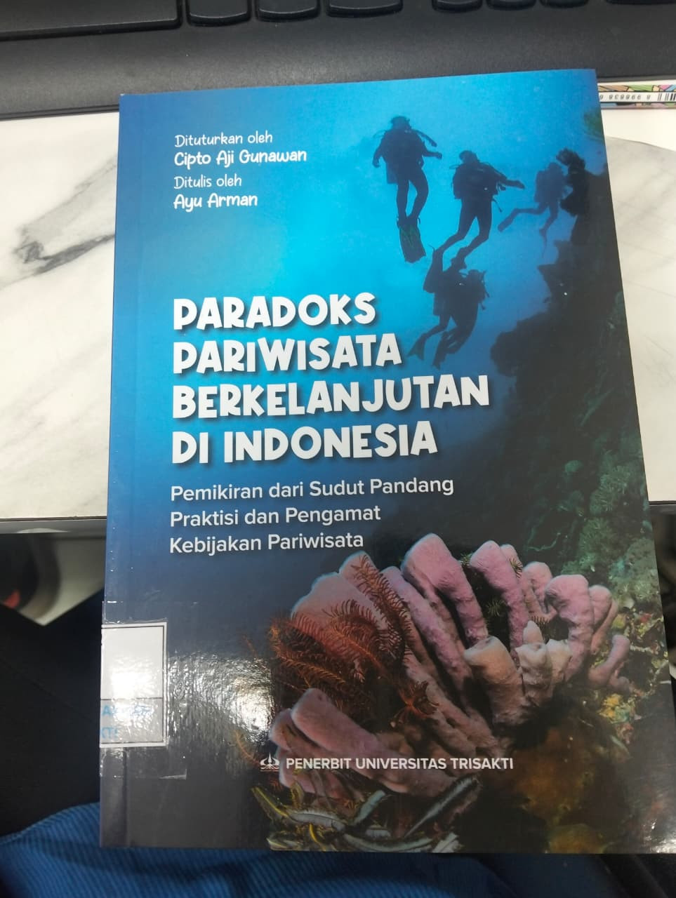Paradoks Pariwisata Berkelamjutan di Indonesia : Pemikiran dari Sudut Pandang Praktis dan Pengamat Kebijakan Pariwisata