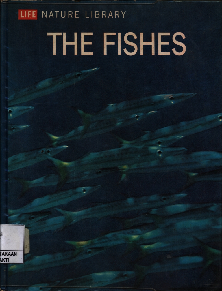 The Fishes