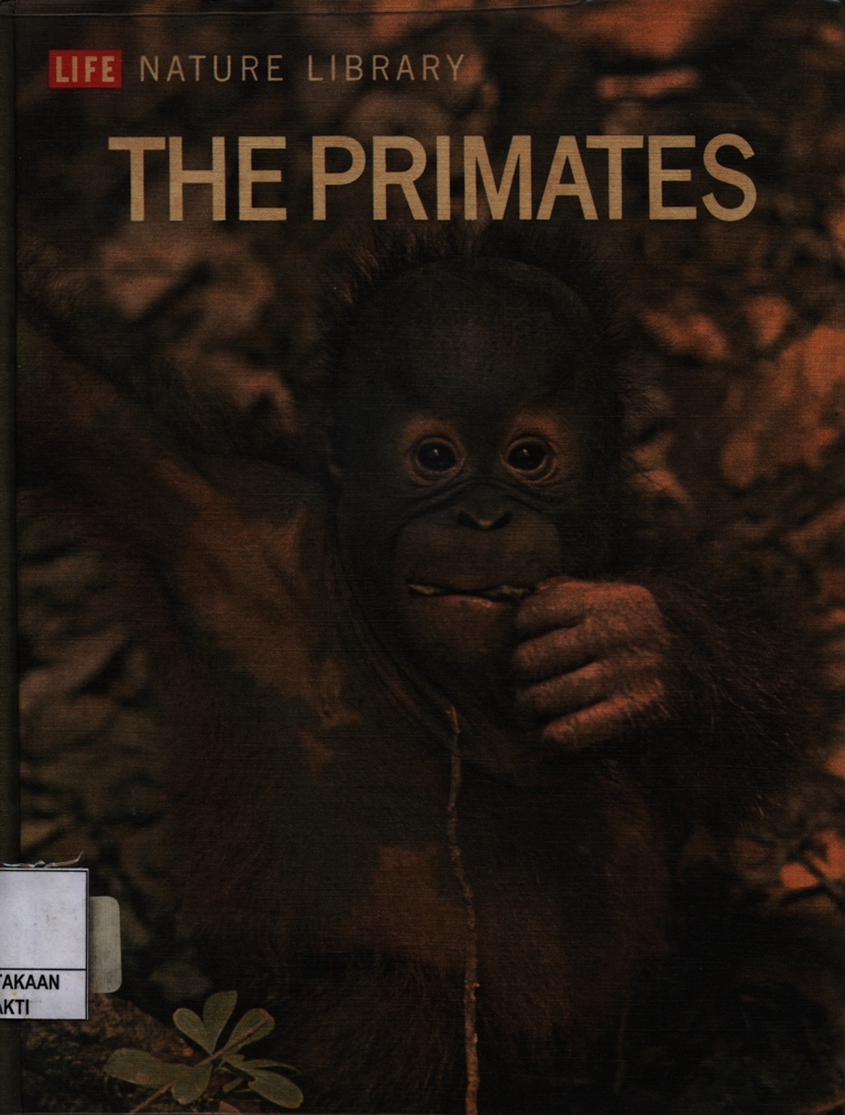 The Primates