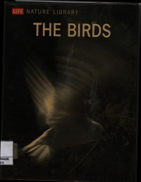 Image of The Birds