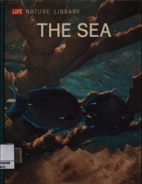 Image of The Sea
